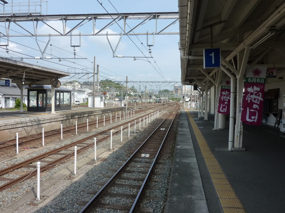P1020287_mid.jpg