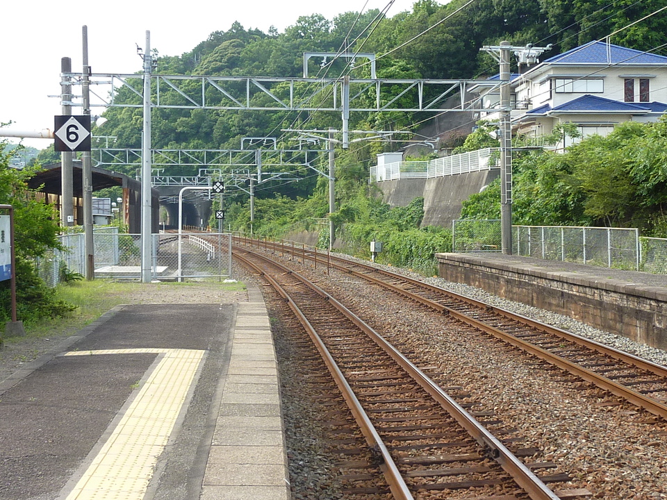 P1020302_mid.jpg