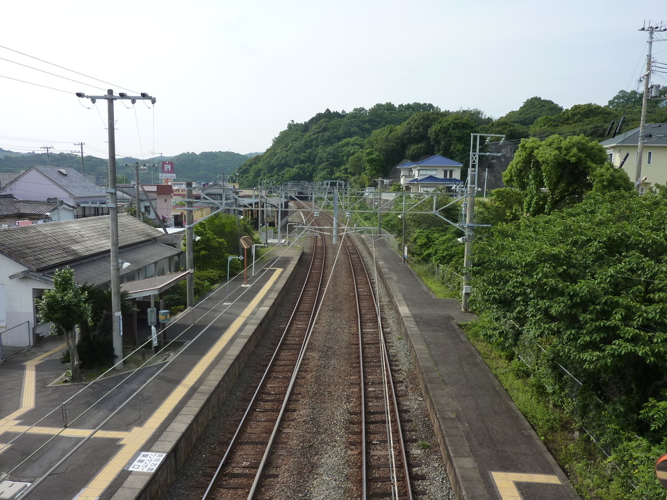 P1020304_mid.jpg