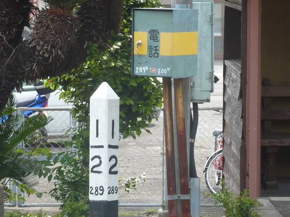 P1020310_mid.jpg