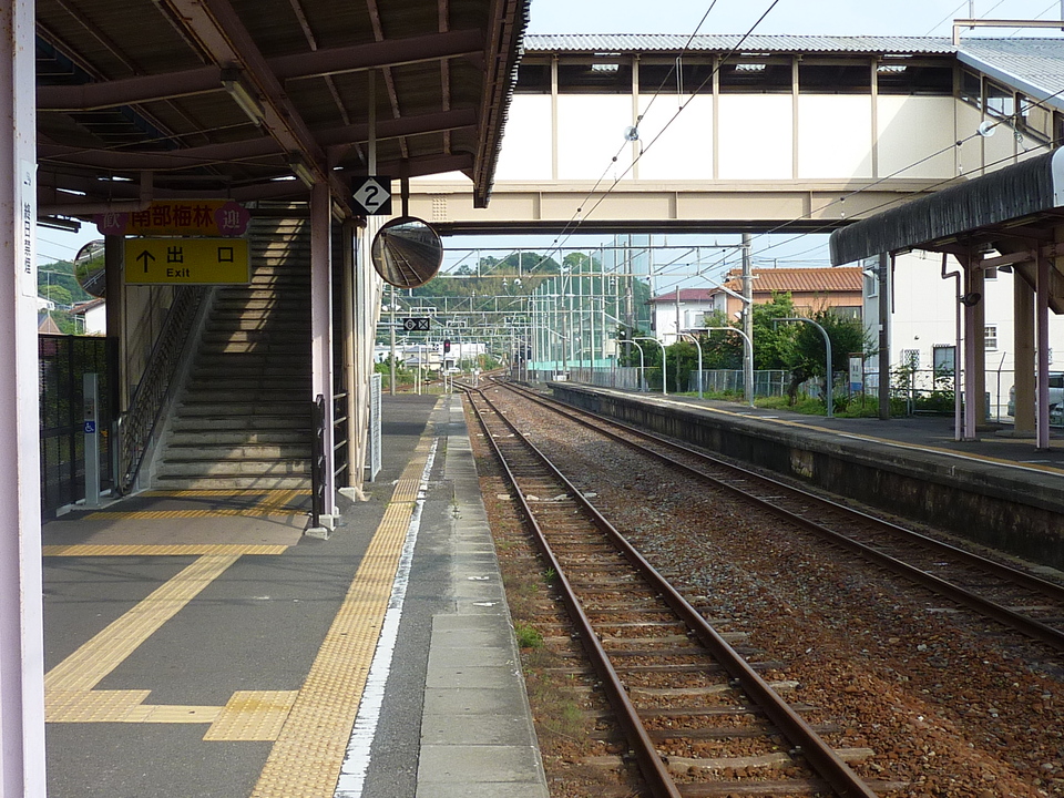 P1020323_mid.jpg
