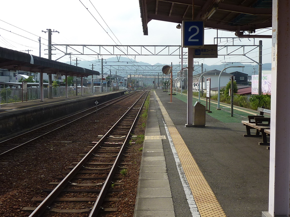 P1020324_mid.jpg