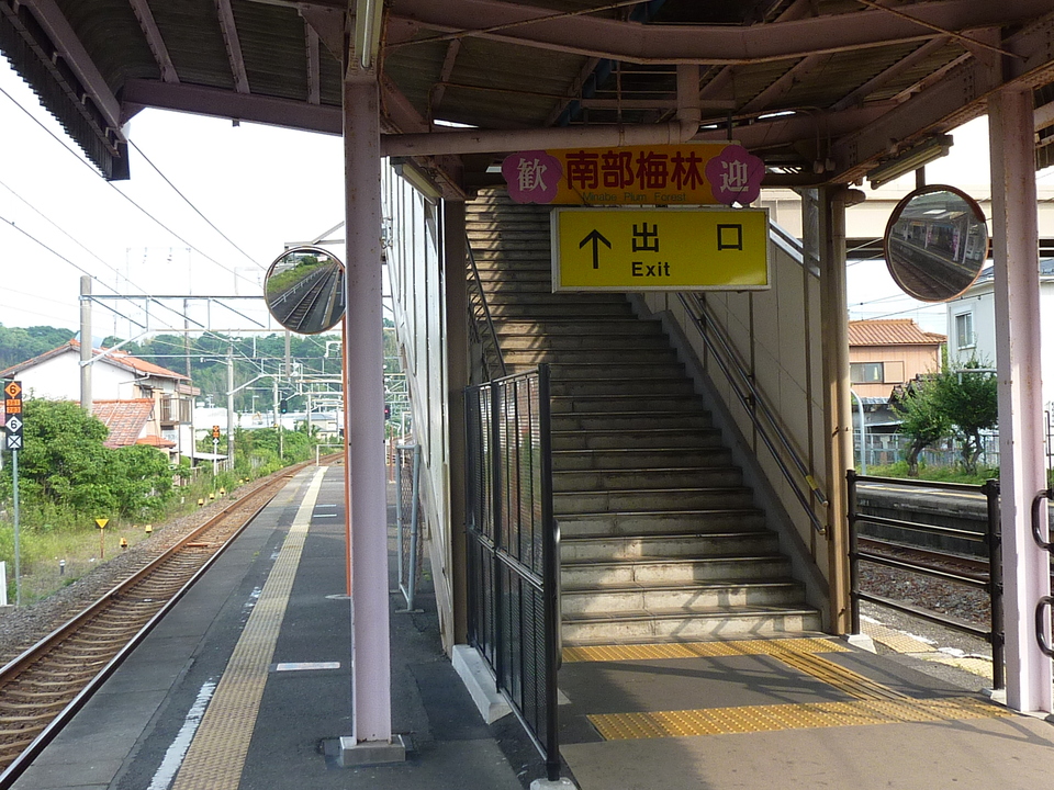 P1020329_mid.jpg