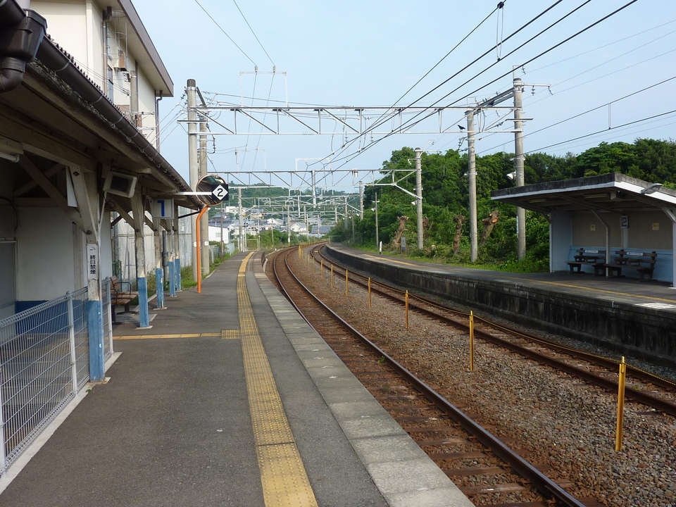 P1020335_mid.jpg