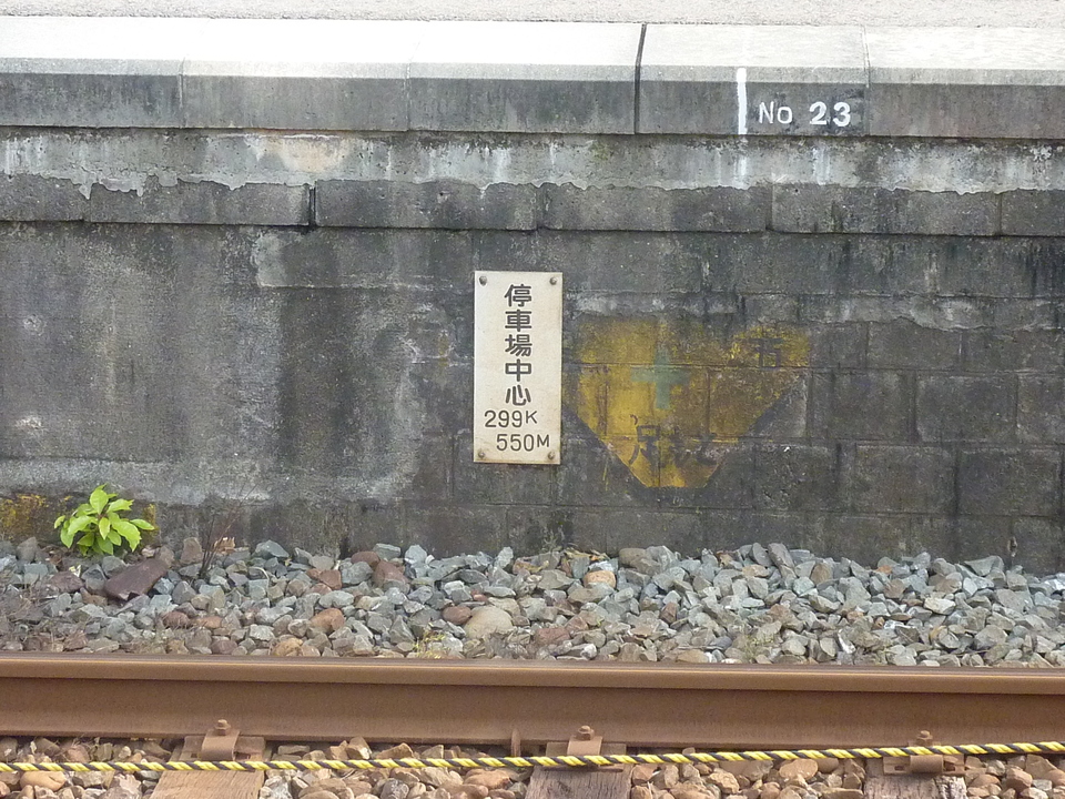 P1020336_mid.jpg