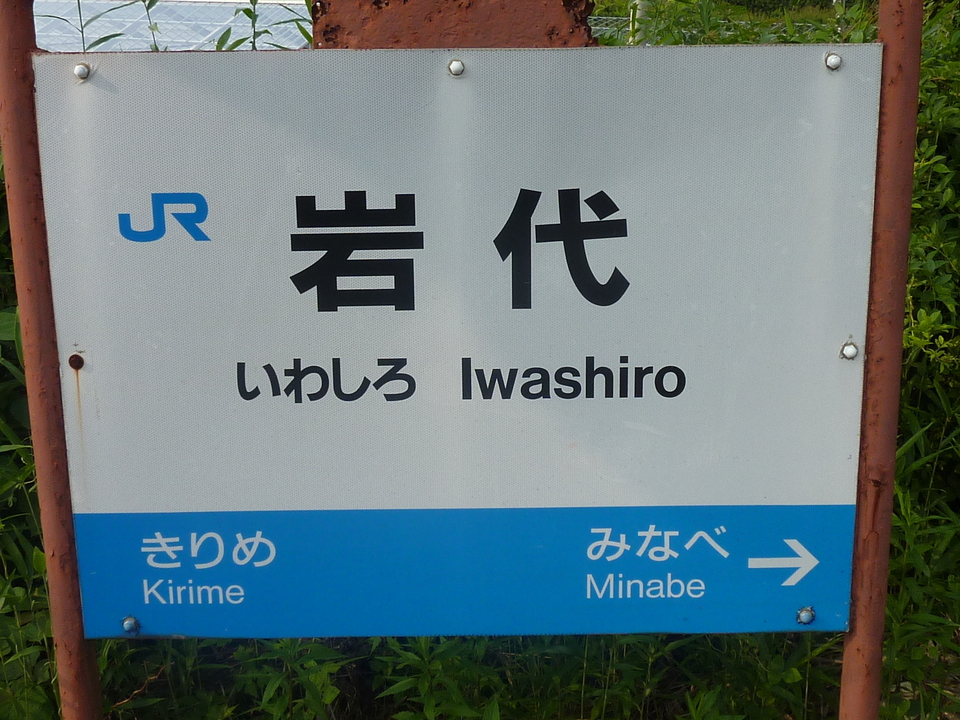 P1020337_mid.jpg