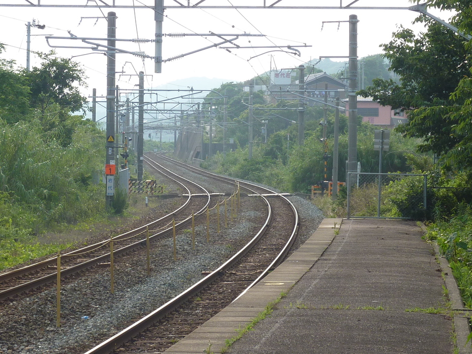 P1020338_mid.jpg