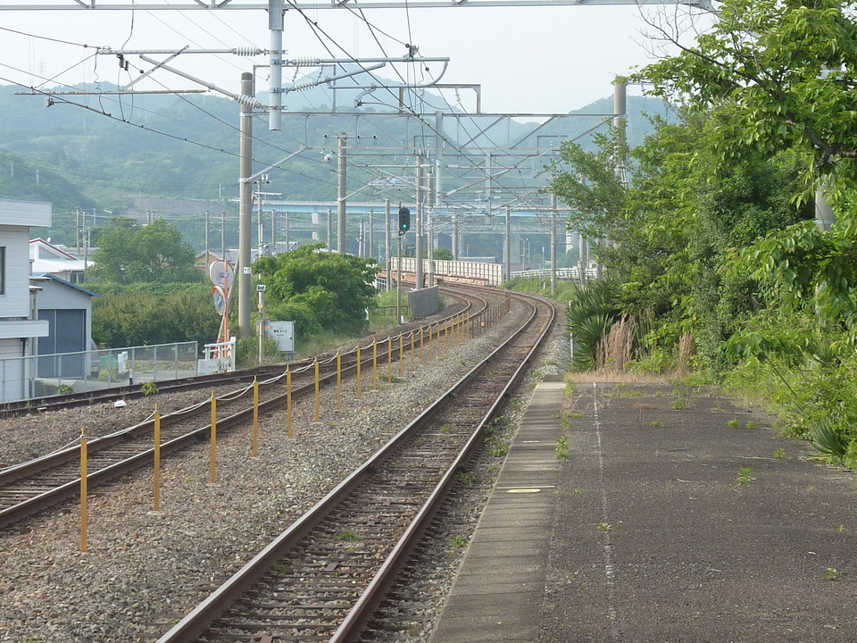 P1020349_mid.jpg