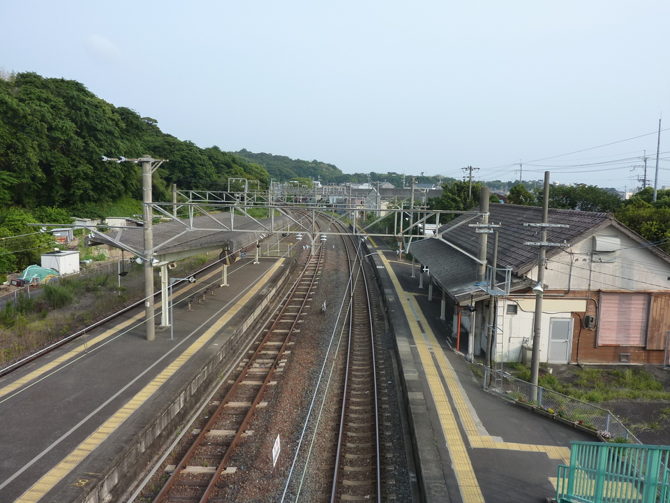 P1020358_mid.jpg