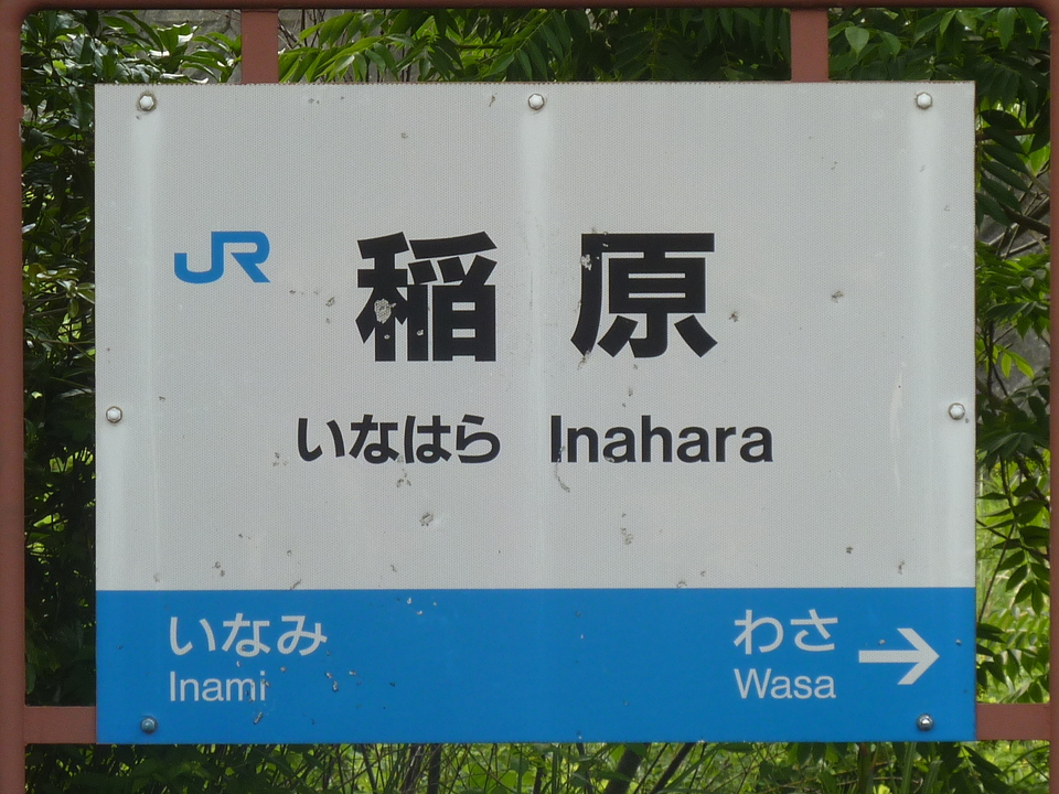 P1020369_mid.jpg