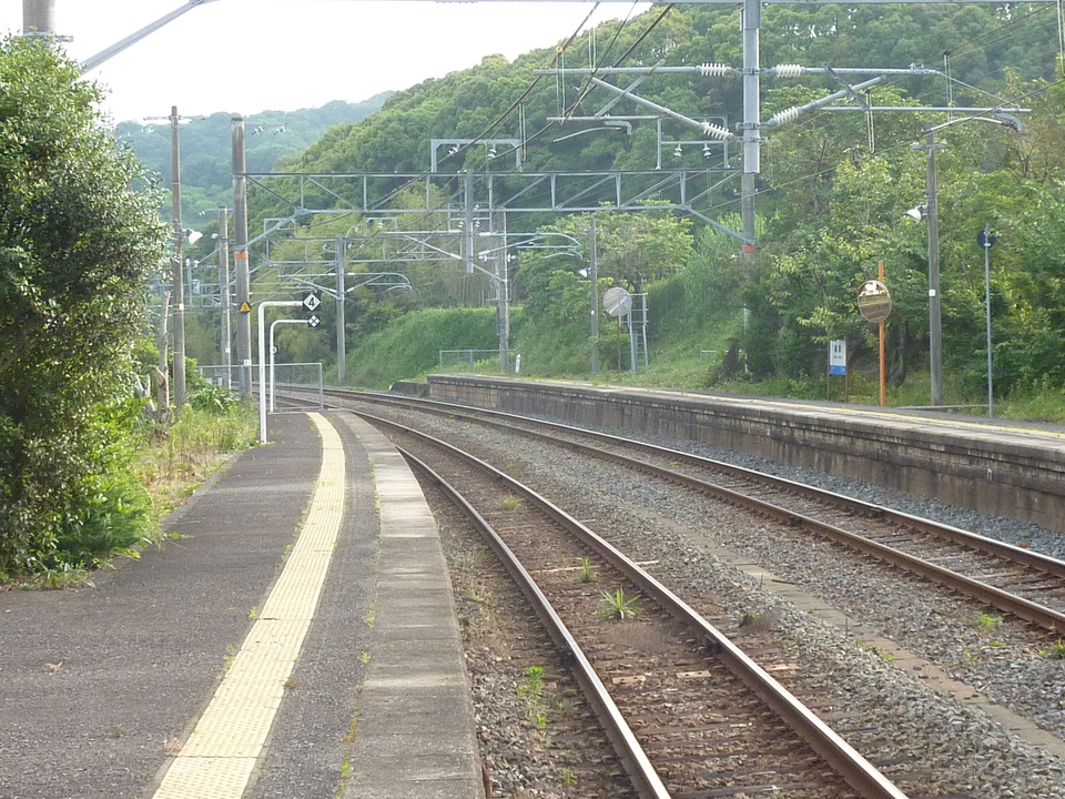 P1020371_mid.jpg