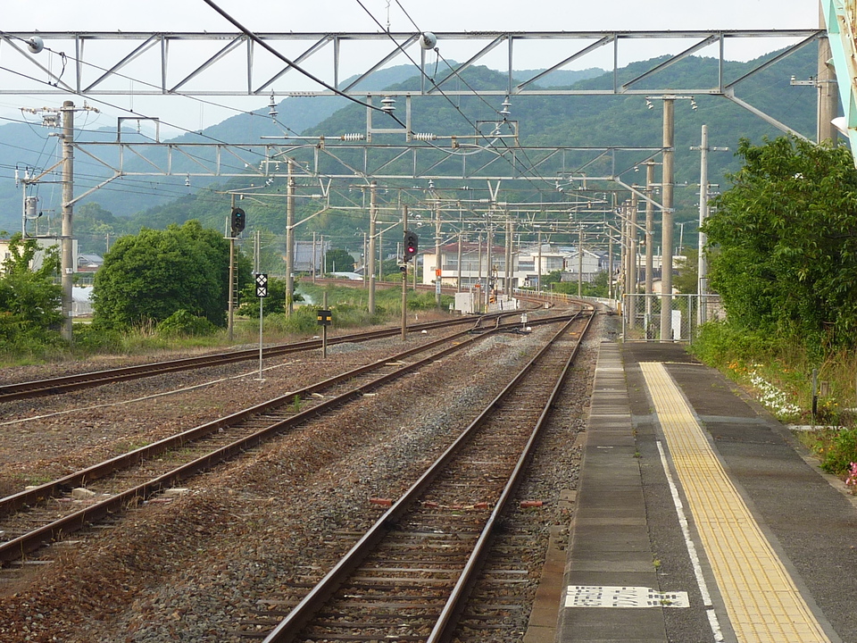 P1020380_mid.jpg