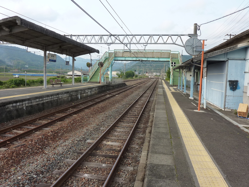P1020382_mid.jpg