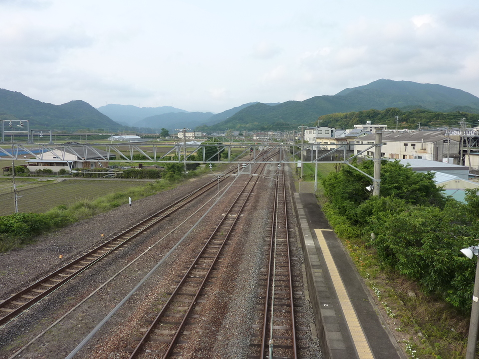 P1020383_mid.jpg