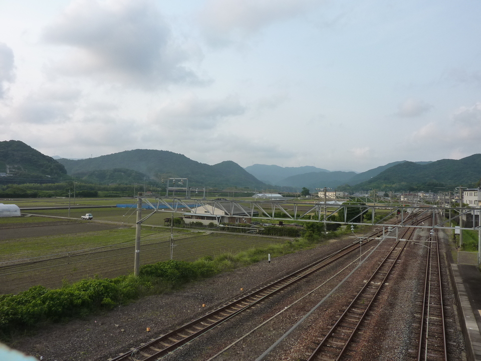 P1020384_mid.jpg