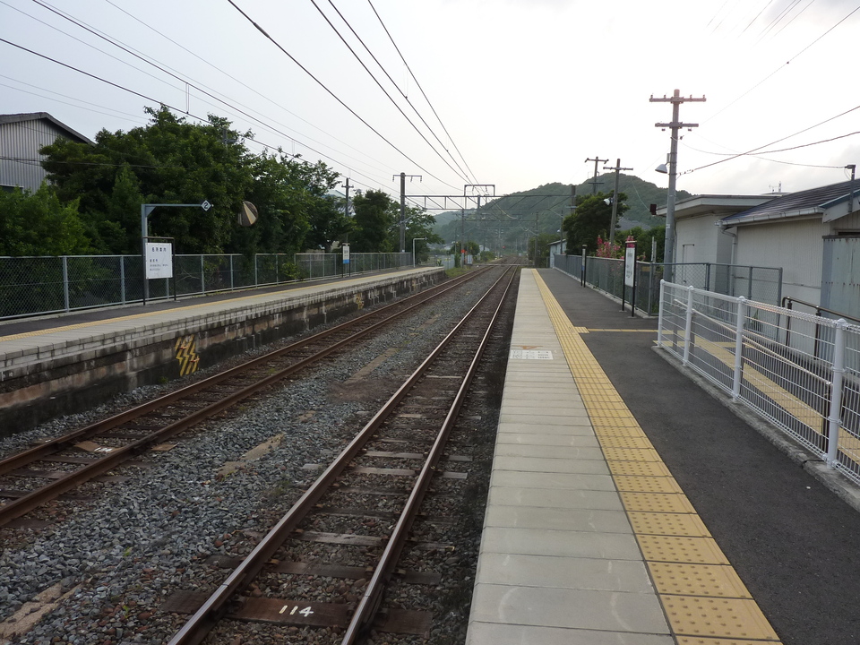 P1020393_mid.jpg