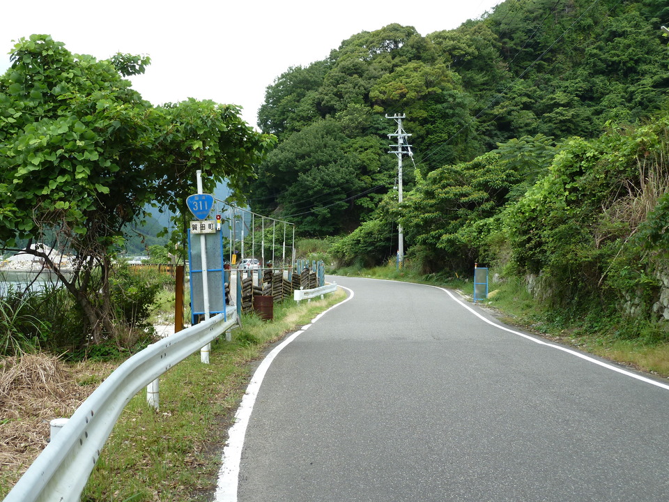 P1000290_mid.jpg