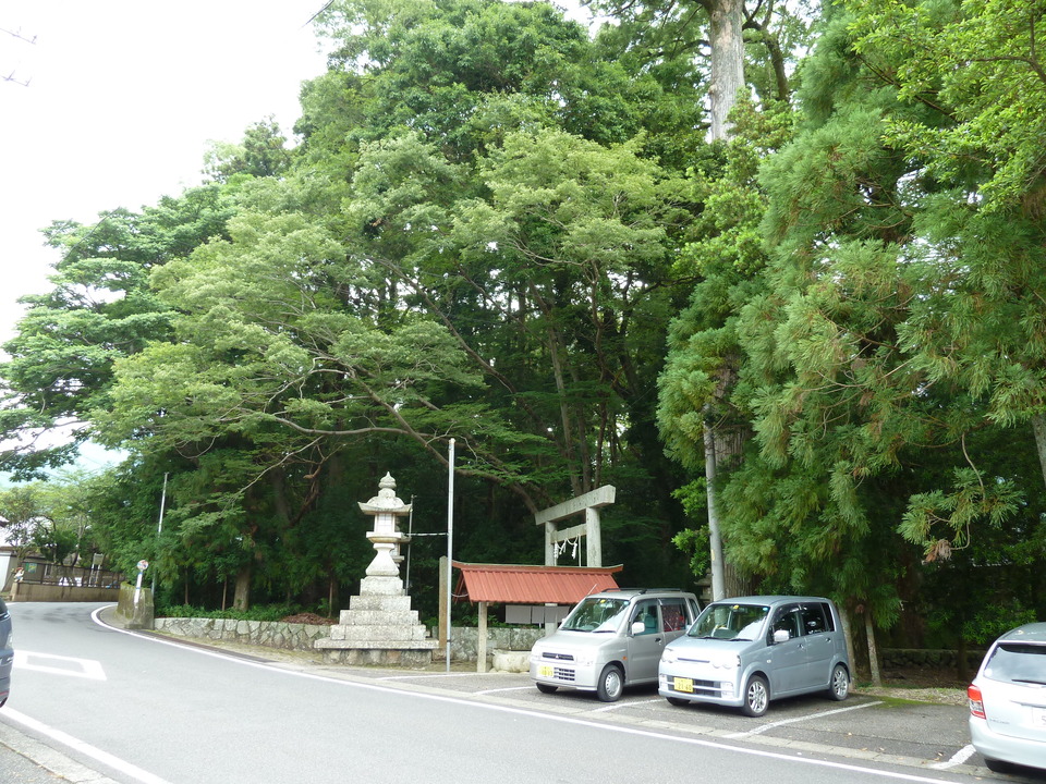 P1000300_mid.jpg