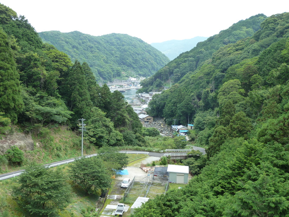P1000315_mid.jpg