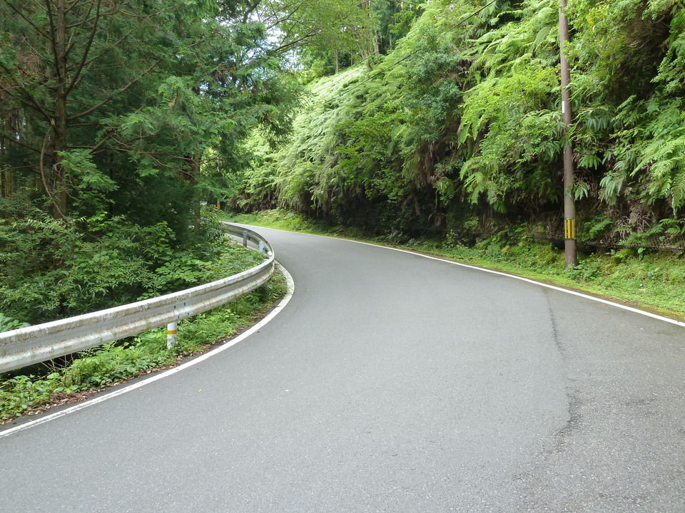 P1000328_mid.jpg