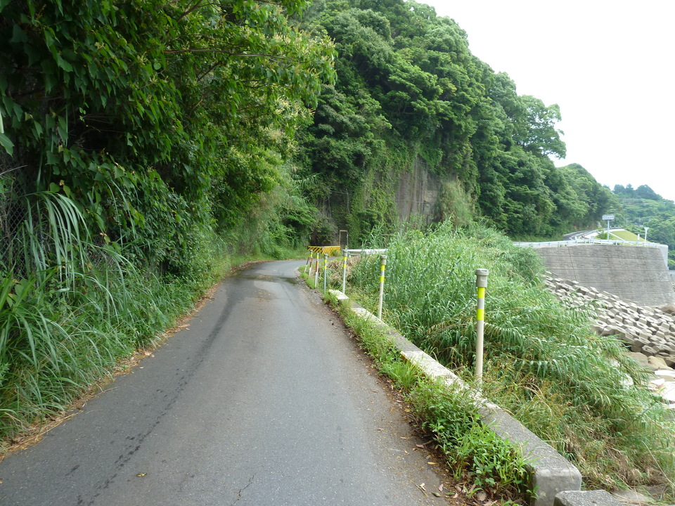 P1000349_mid.jpg