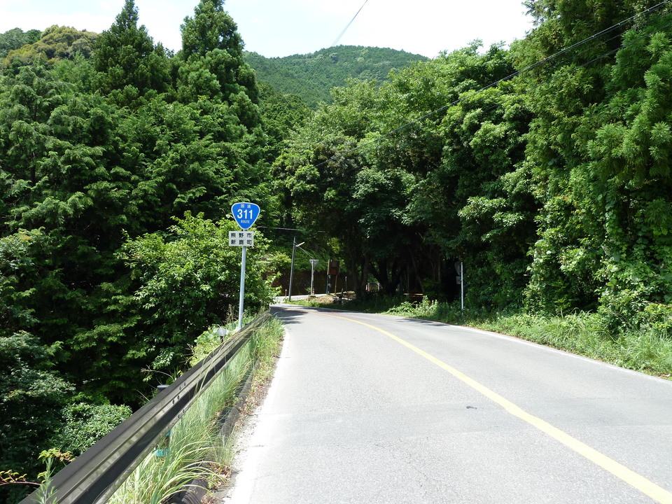 P1000391_mid.jpg