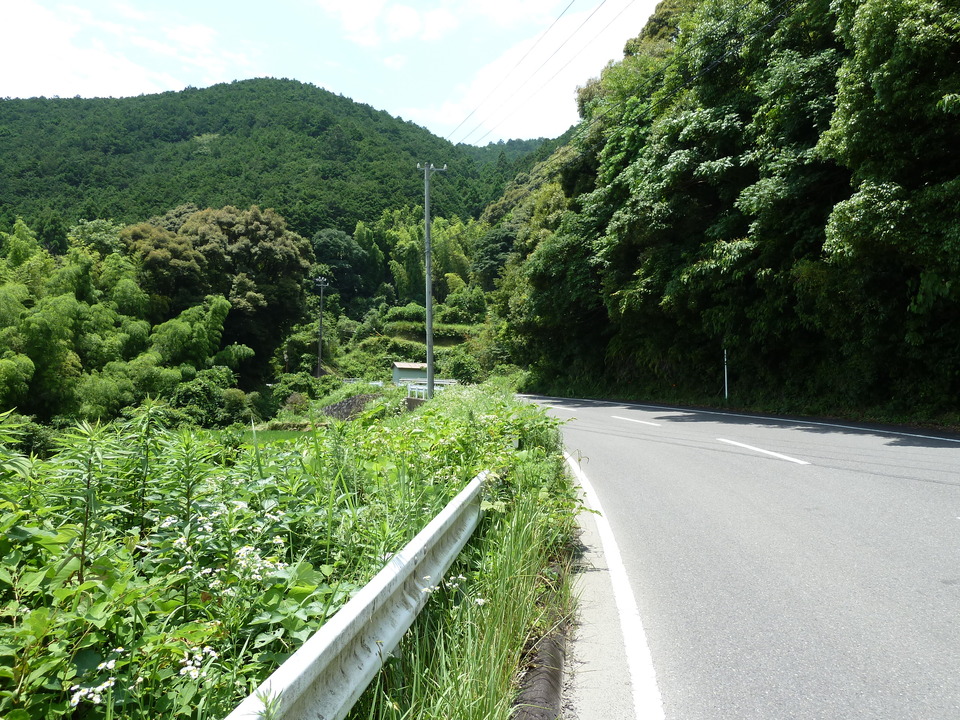 P1000399_mid.jpg