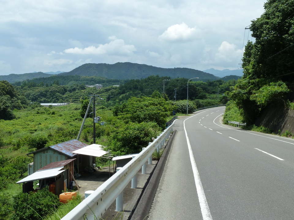 P1000417_mid.jpg