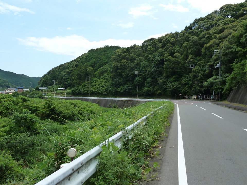 P1000420_mid.jpg