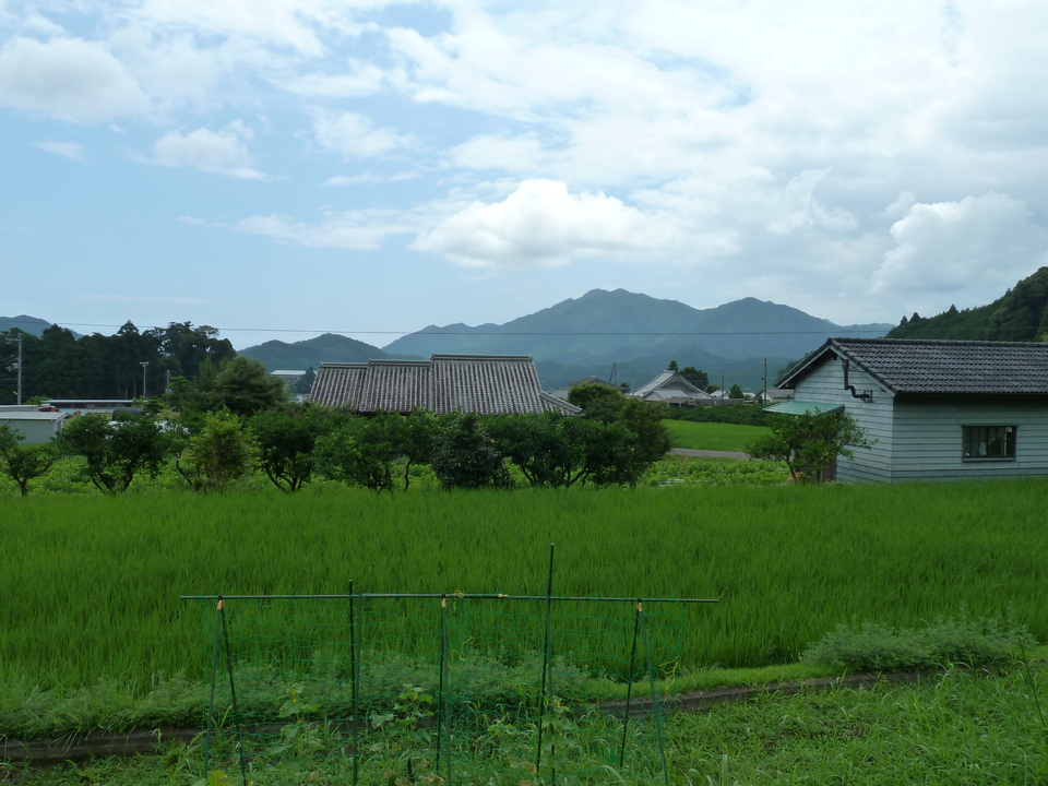 P1000425_mid.jpg