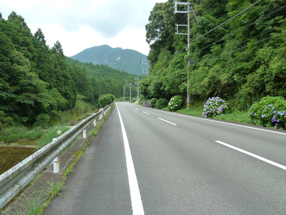 P1000427_mid.jpg