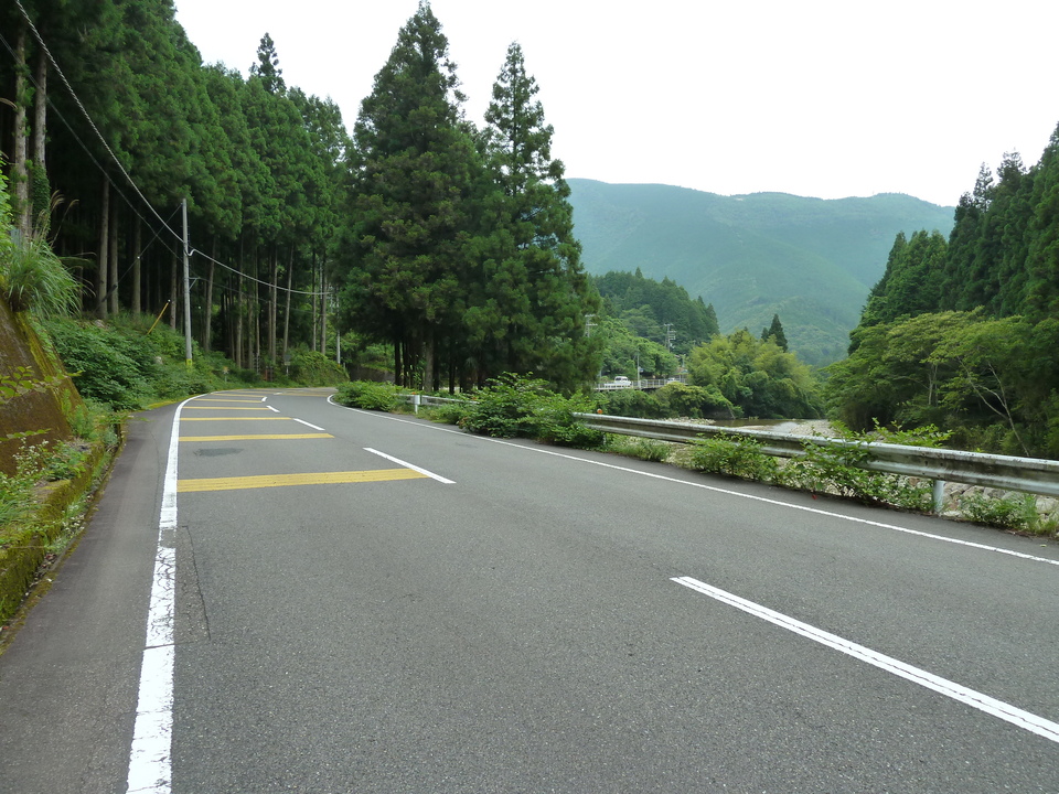 P1000428_mid.jpg