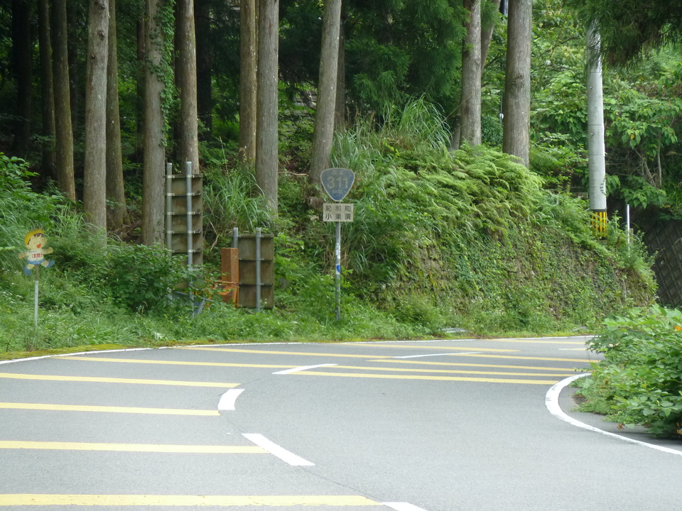 P1000429_mid.jpg