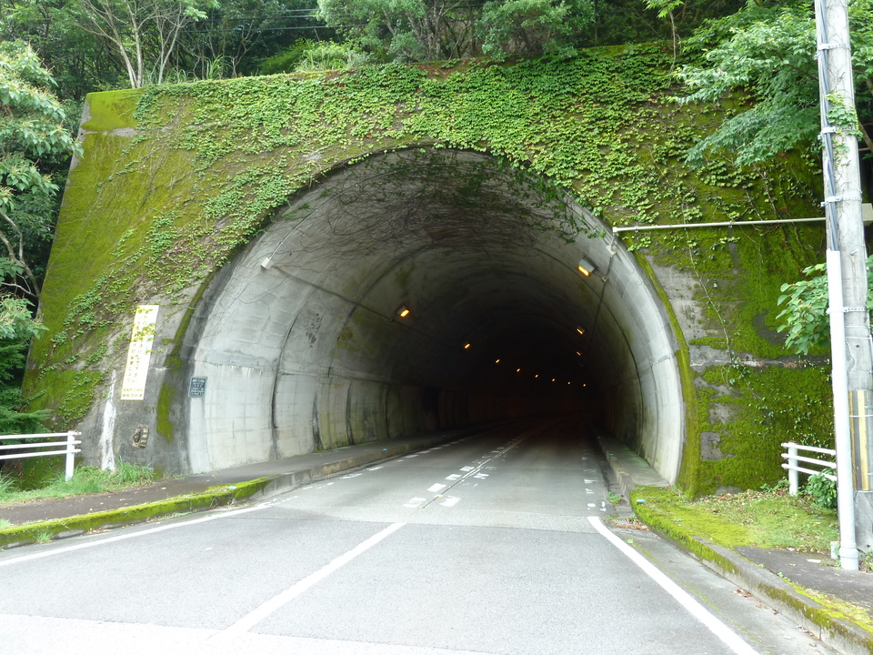 P1000434_mid.jpg