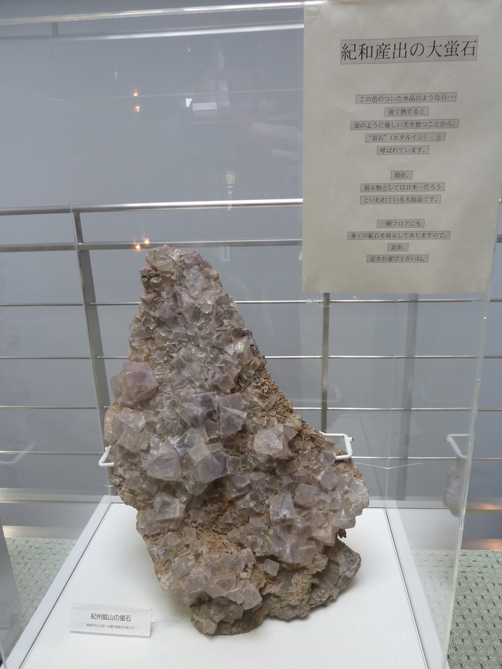 P1000439_mid.jpg