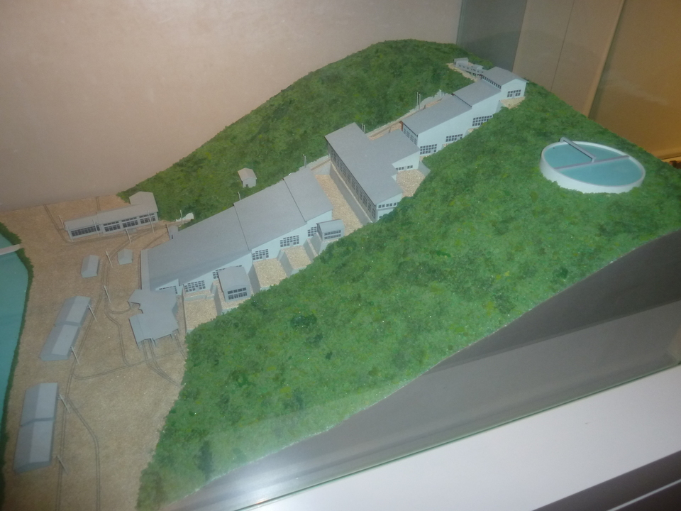 P1000448_mid.jpg