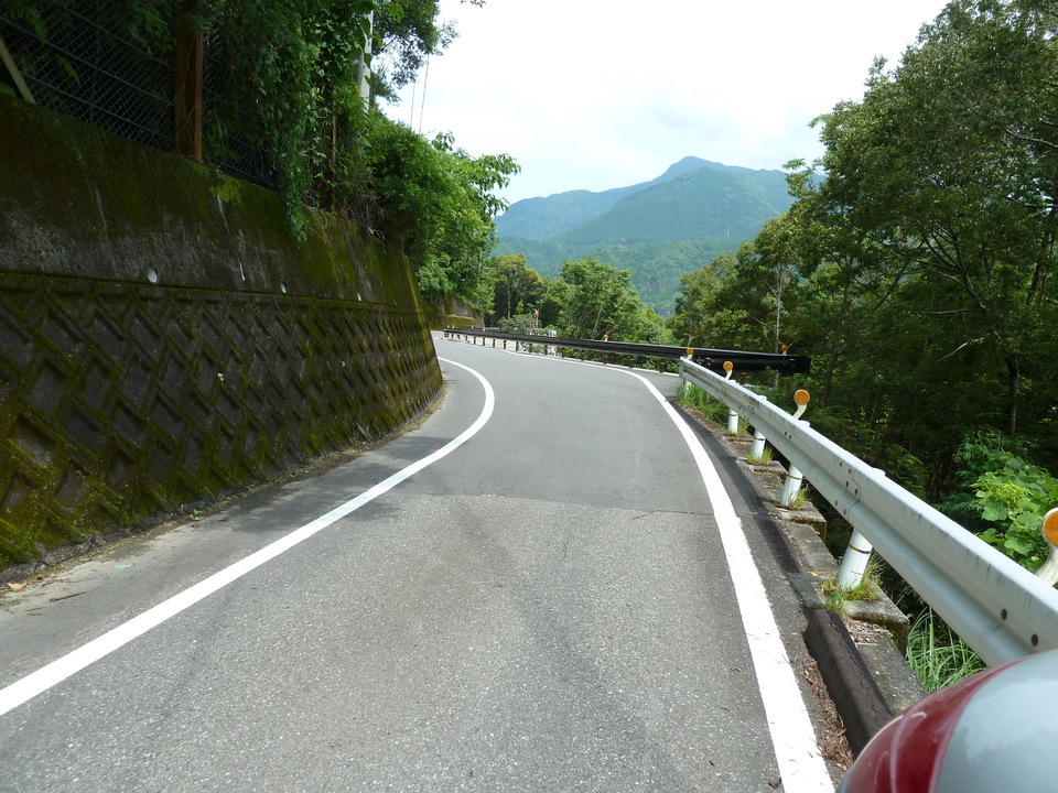 P1000462_mid.jpg
