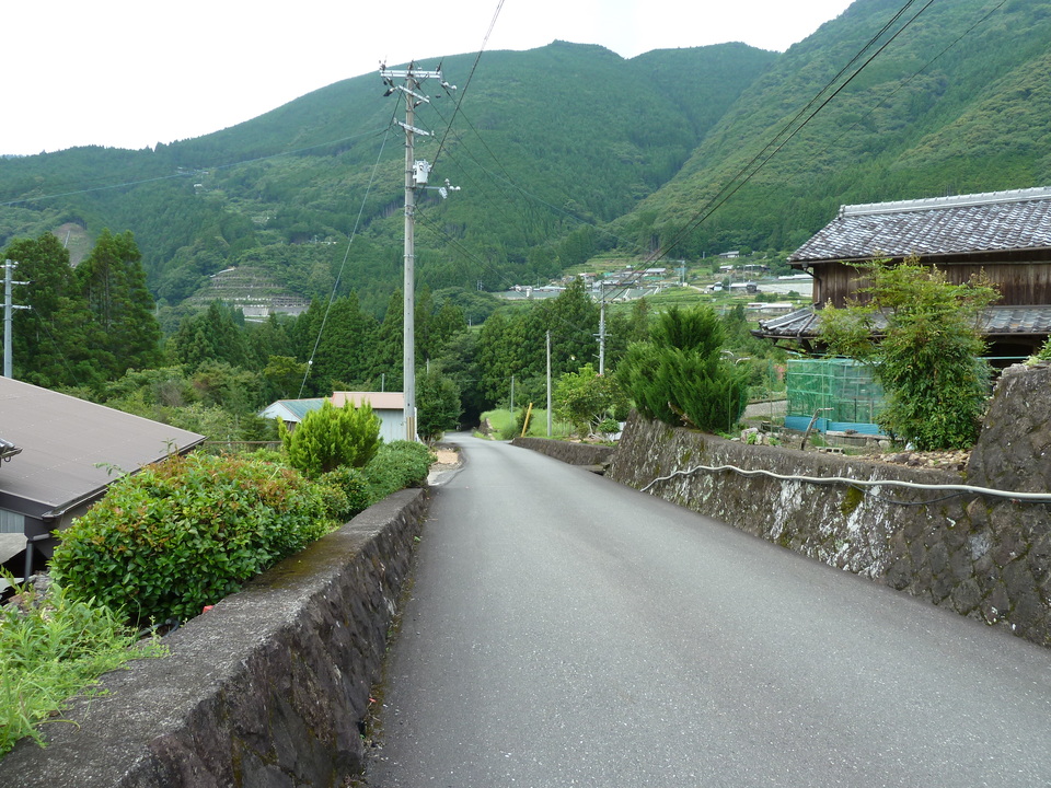 P1000467_mid.jpg