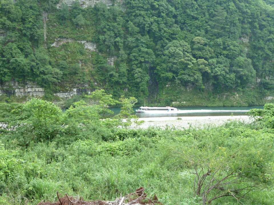 P1000479_mid.jpg