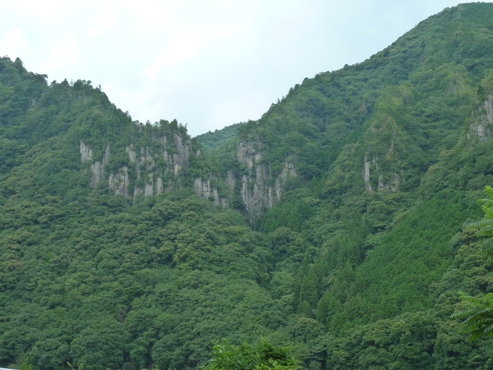 P1000494_mid.jpg
