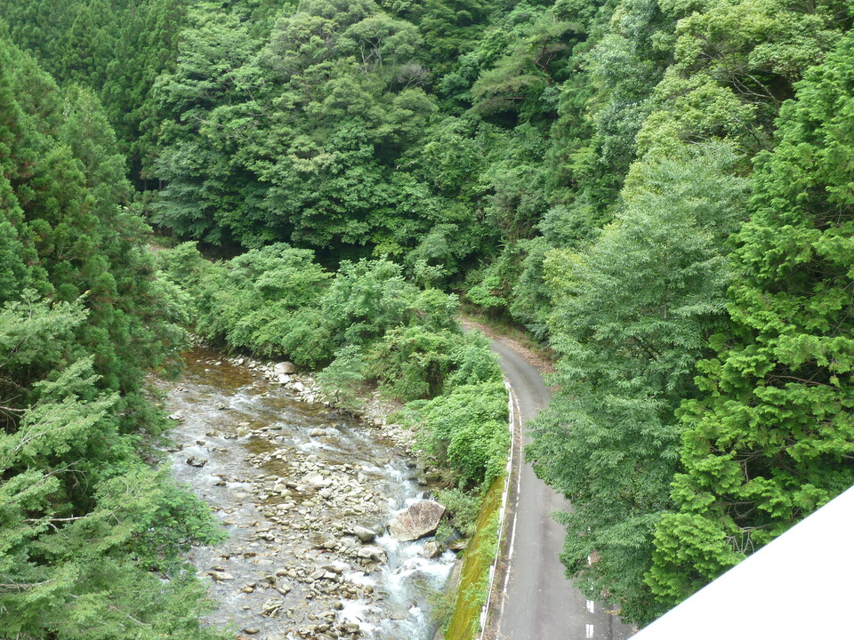 P1000508_mid.jpg