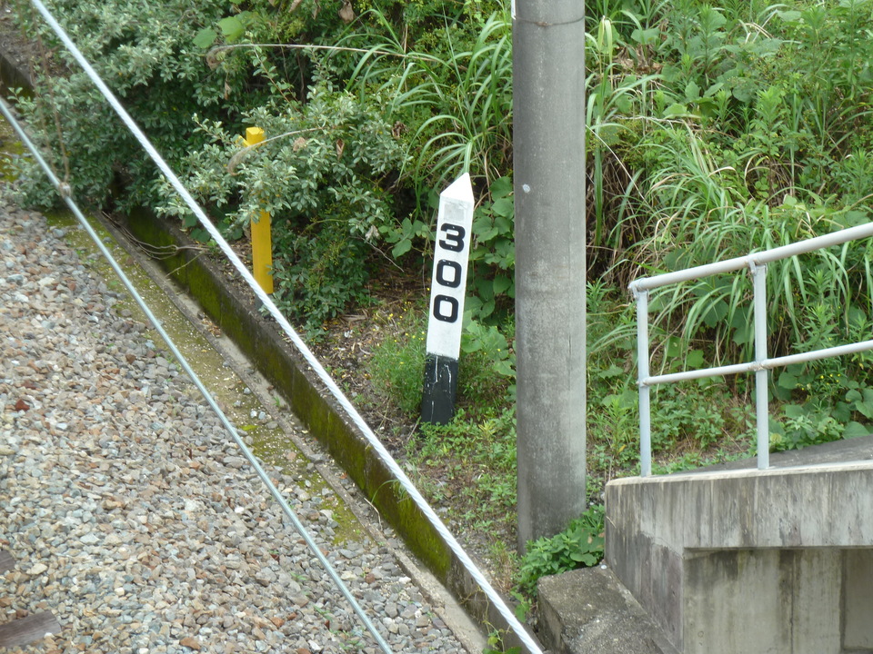 P1000550_mid.jpg
