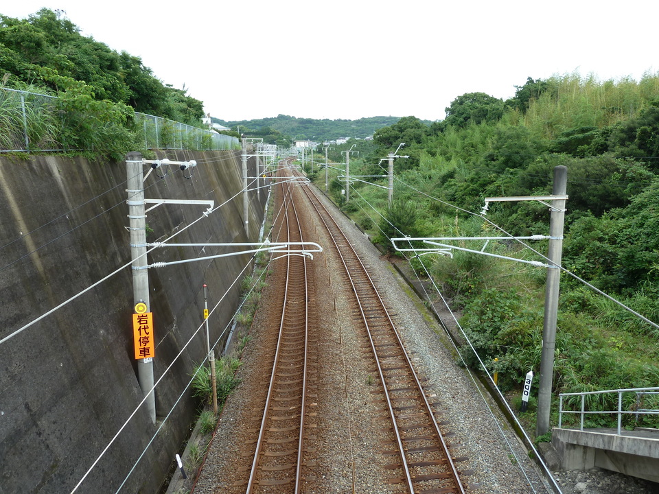P1000551_mid.jpg