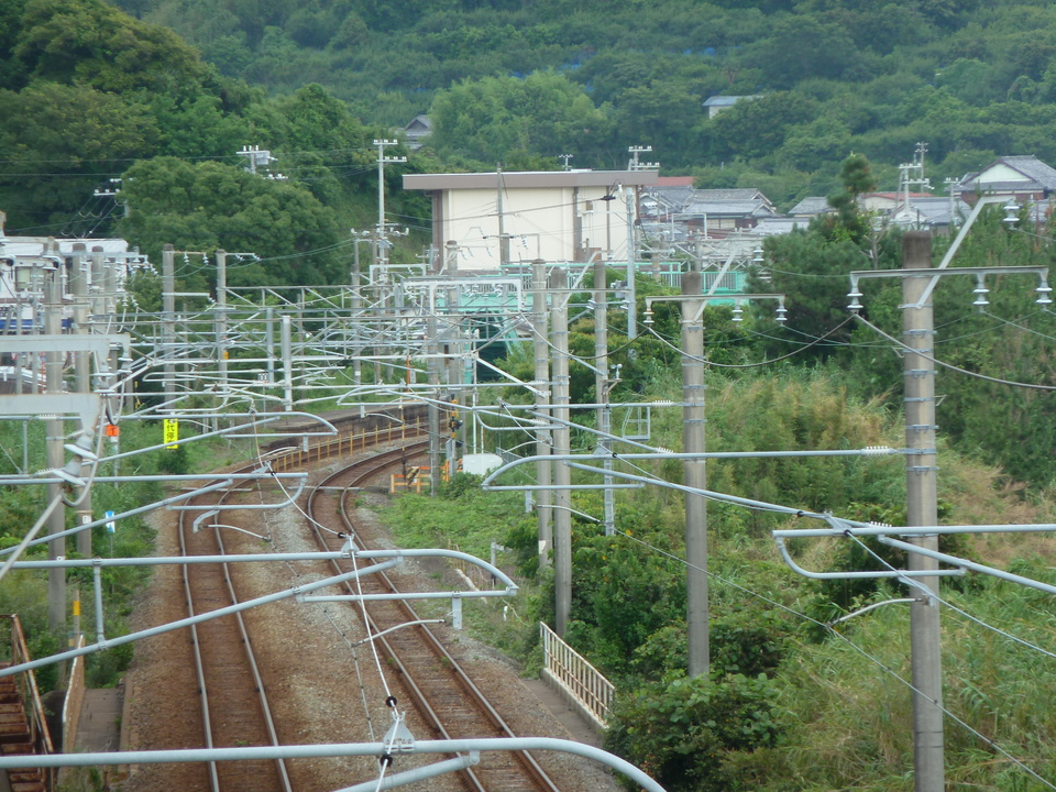 P1000552_mid.jpg