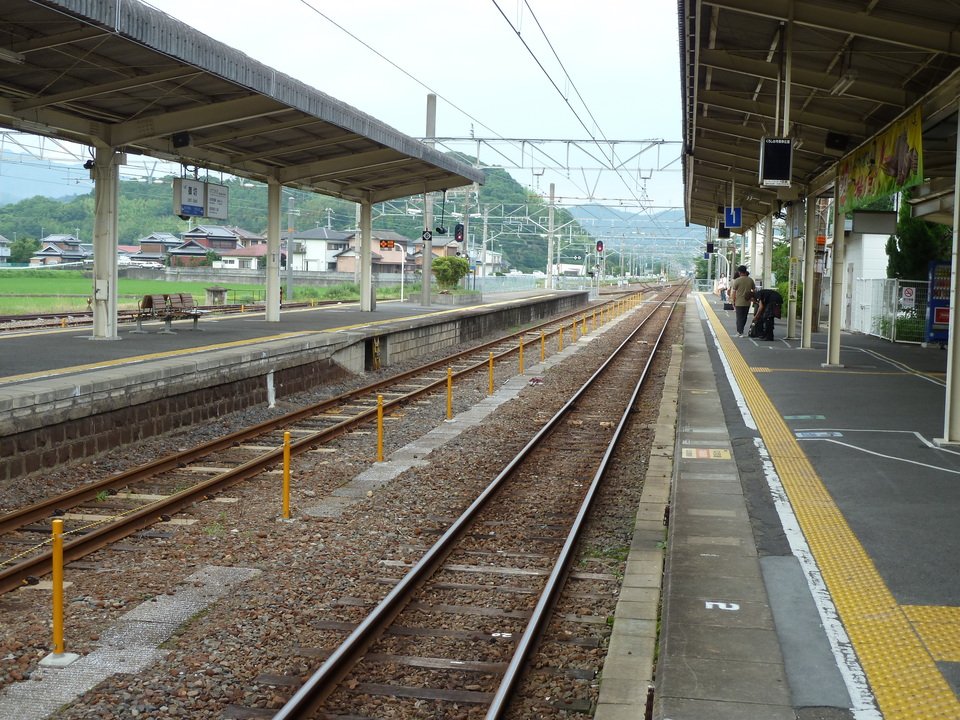 P1000555_mid.jpg