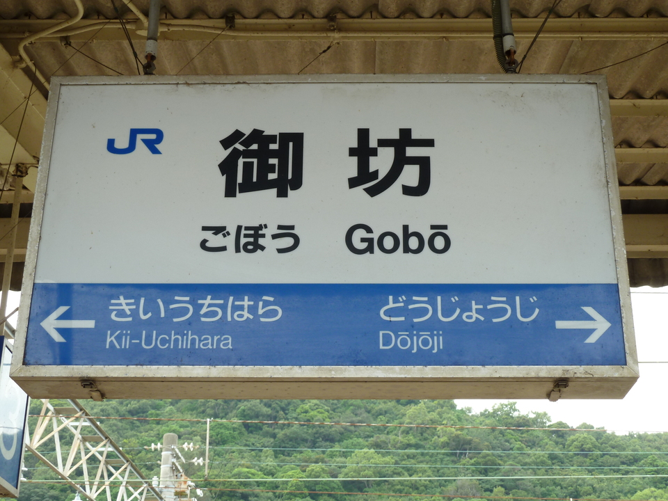 P1000557_mid.jpg