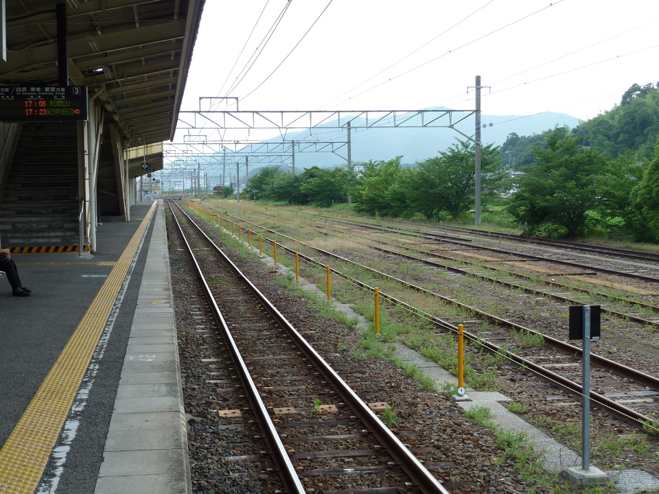 P1000558_mid.jpg