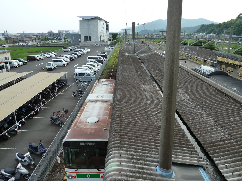 P1000567_mid.jpg