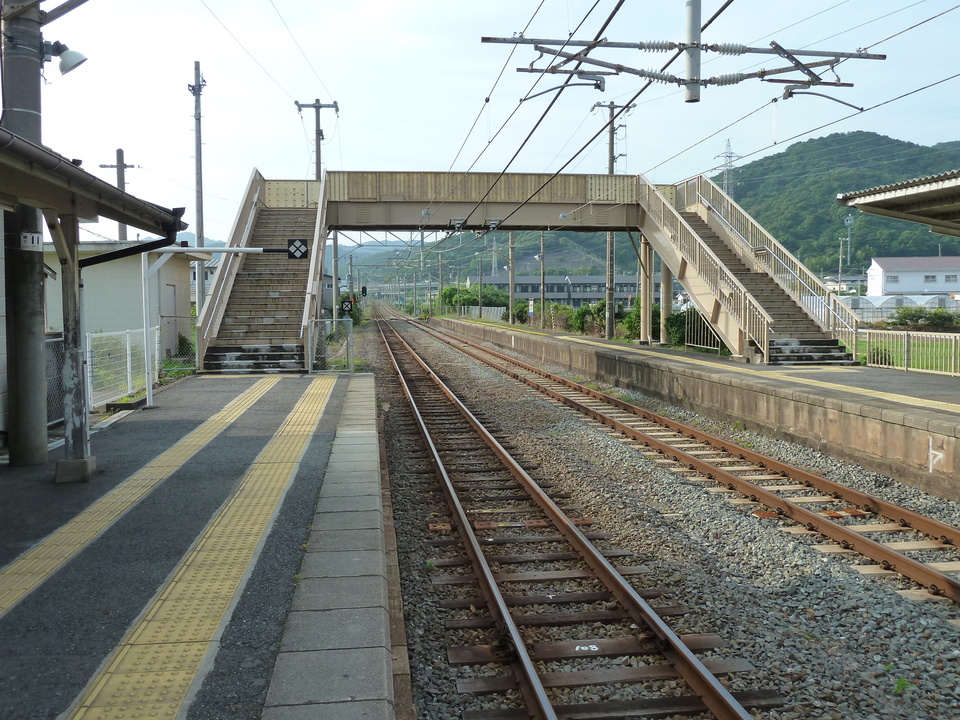 P1000579_mid.jpg