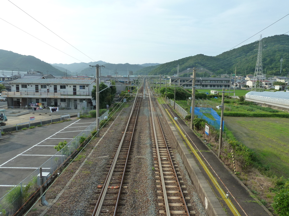P1000582_mid.jpg